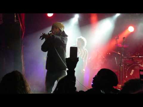 Daweed Chimen la Ragga Dub Force Festival Cabaret Sauvage Paris 14 janvier 2017