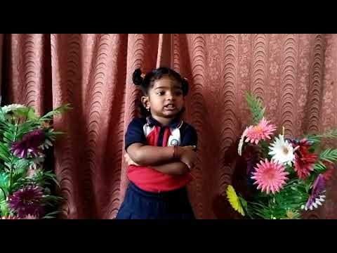 Ch.Ashritha | Domestic Animals in Hindi | Rise Play School | Jagannaickpur, Kakinada.