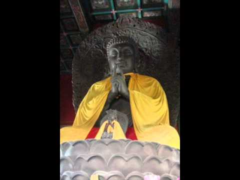 Bhante Sujiva Cittanupassana Satipassana-.wmv