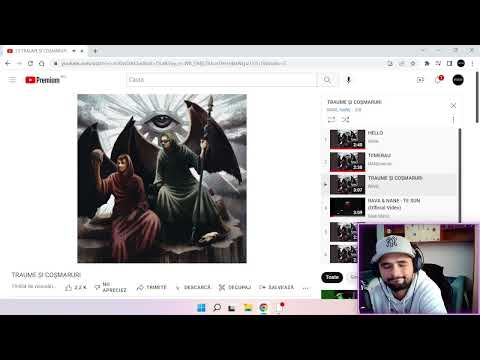 ABSOLUT GENIAL, EFECTIV❗REACTIE❗RAVA & NANE - TRAUME SI COSMARURI (Album)