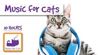 10 Hours of Cat Music OUR LONGEST YET!