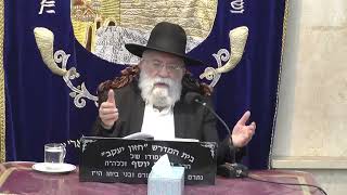 הרב אהרון ירחי  • יום פטירת משה רבנו ע"ה (בית הכנסת מוסאיוף) - התמונה מוצגת ישירות מתוך אתר האינטרנט יוטיוב. זכויות היוצרים בתמונה שייכות ליוצרה. קישור קרדיט למקור התוכן נמצא בתוך דף הסרטון