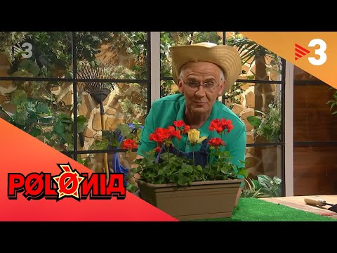 El gardening de Josep Borrell (Part 2) - Polònia