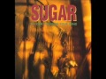 Sugar - Anyone (live) (Bob Mould)