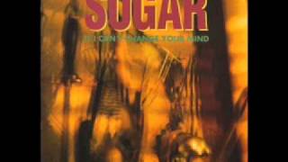 Sugar - Anyone (live) (Bob Mould)