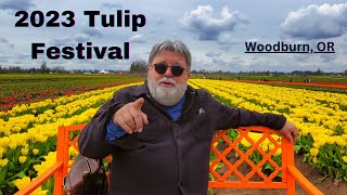 Wooden Shoe Tulip Festival 2023: A Late Bloomer but Still Stunning!