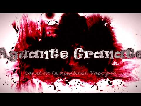 "Yo soy papayero y no chango cagón" Barra: Los Papayeros &bull; Club: Deportes La Serena