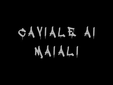 FUNKMATAZZ - Caviale Ai Maiali (Official Video)