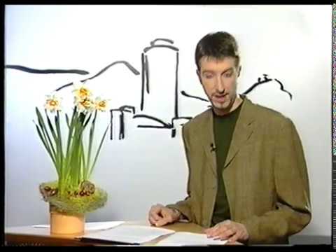 2001: Fanprojekt-Stammtisch: Drei Neuzugänge des FC Carl Zeiss Jena vorgestellt