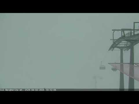 Passo San Pallegrino - Col Margherita LIVE