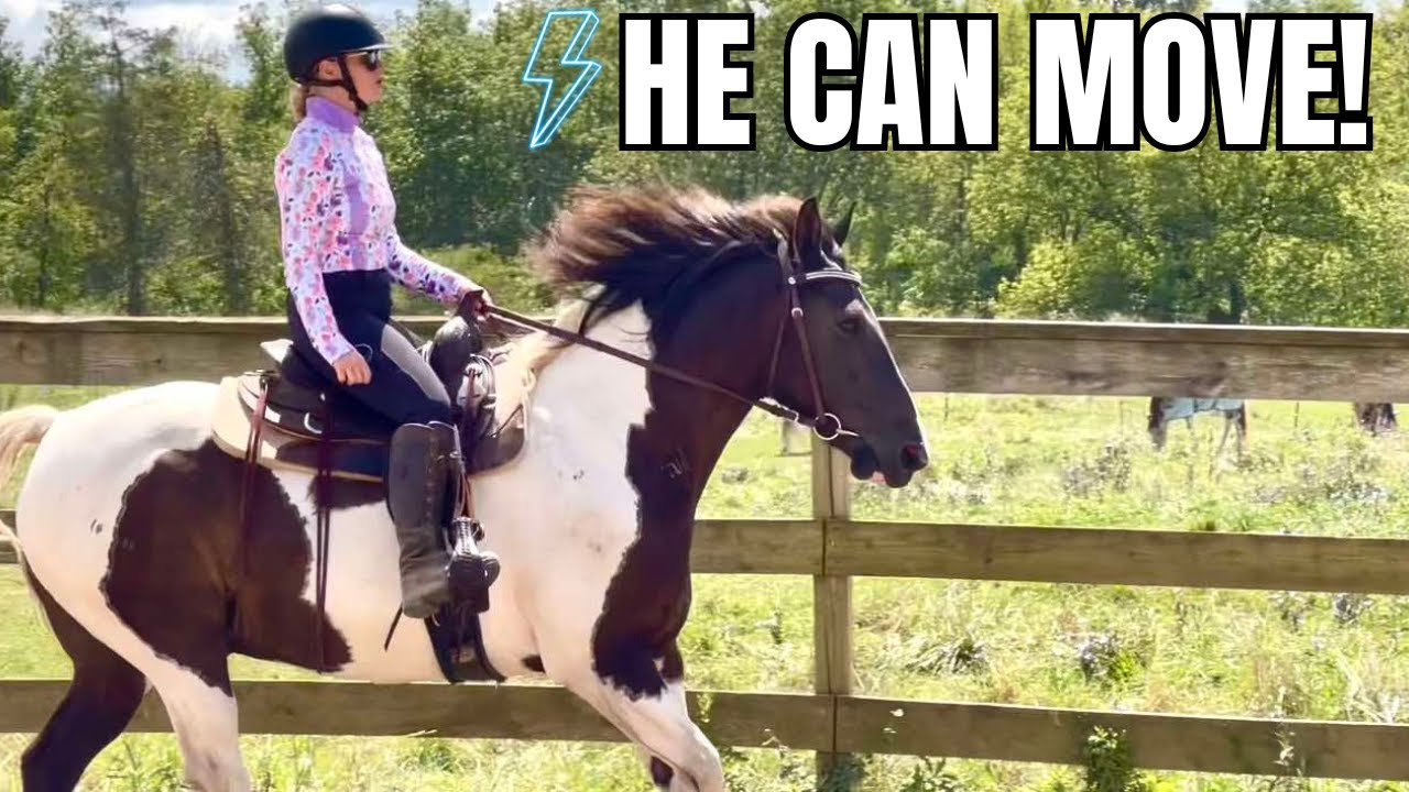 Riding Our New Lease Horse Lightning McQueen!