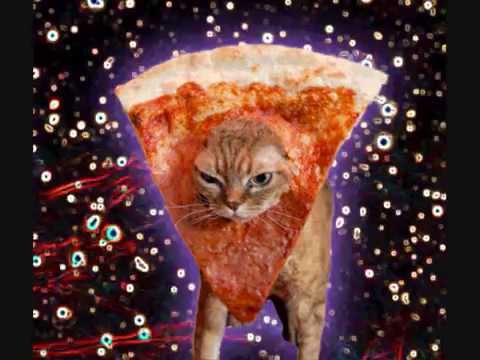 Can't hug every cat (I love cats)