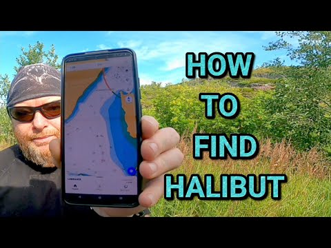 How to find halibut in Norway!