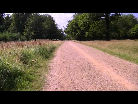 MongoTV_559 - Del 34 - Cykeltur Til Lyngby-Jægersborg-Gentofte-Charlottenlund-Klampenborg