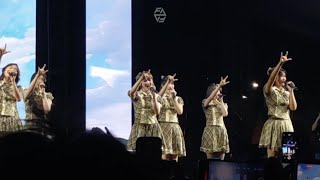 Download lagu Pesawat Kertas 365 Hari - JKT48 Manoover Undip mp3