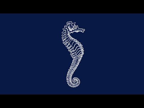 max elto - sjöhäst (orignal mix)