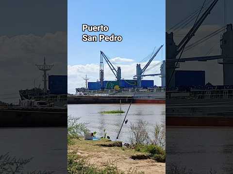 Puerto San Pedro Bs As #pesca #lineadepesca #isla #barco#pescasub #viralvideo #viral