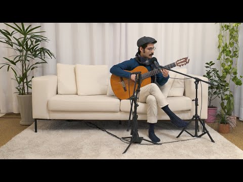 Calma, Carolina - Flerte Flamingo