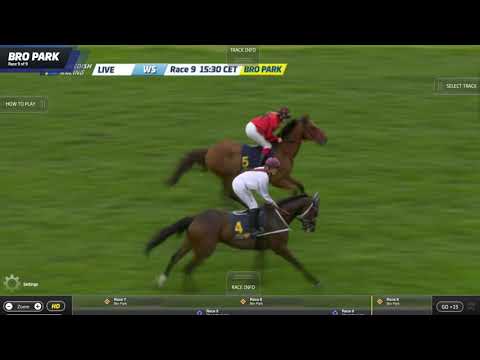 Lopp 9, 30 augusti 2020 - Bro Park