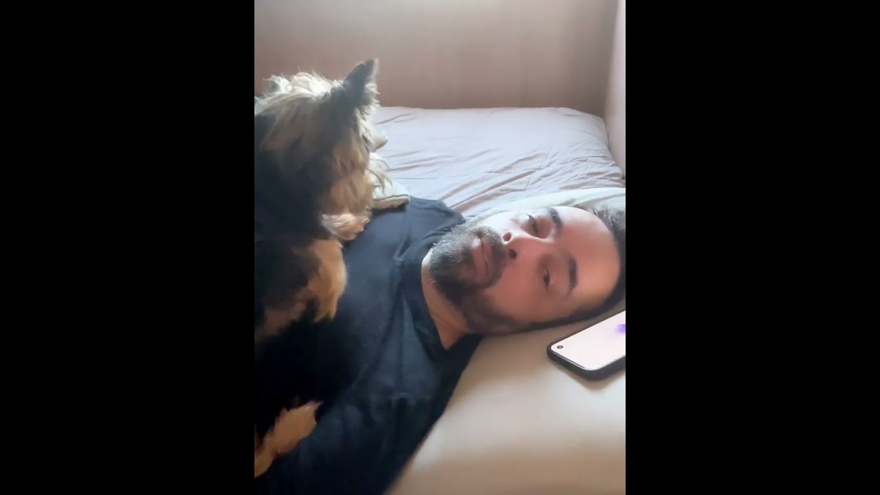 BATENDO UM PAPO COM TONHAOGPT DE MANHÃ AO ACORDAR