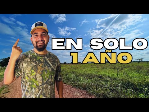 💰 HAZ ESTO para que TU FINCA PEQUEÑA sea PRODUCTIVA en 1 AÑO