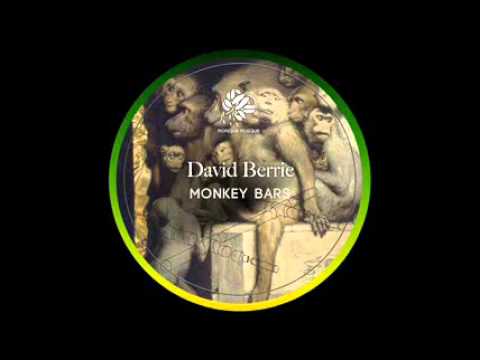 David Berrie - Monkey Bars (Original Mix)