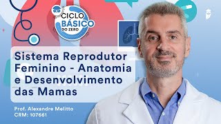 Sistema Reprodutor Feminino - Anatomia e Desenvolvimento das Mamas - Ciclo Básico do Zero