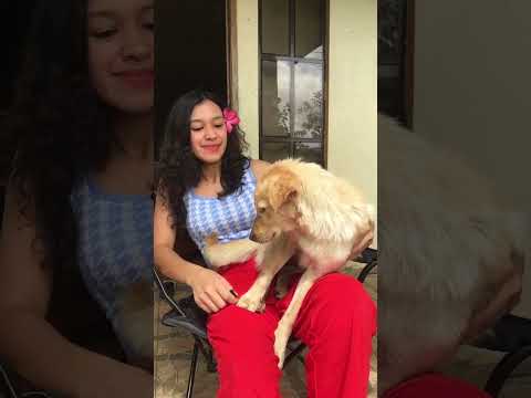 Spending quality time with our dog 🐶