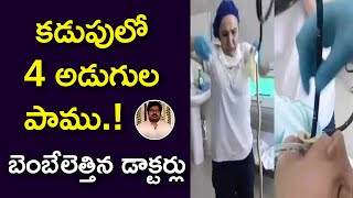 నోట్లోంచి పాముని తీసిన డాక్టర్లు | Snake removed from woman’s stomach in Russia