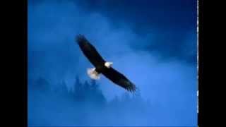 Majestic - Standing Alone