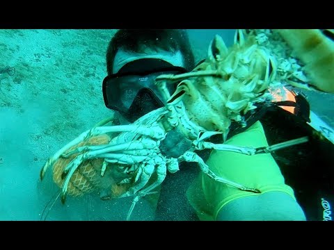 Monster Lobster {Catch Clean Cook} Grillin' on the BEACH!!!