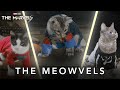 The Meowvels | Now Playing In Theaters
