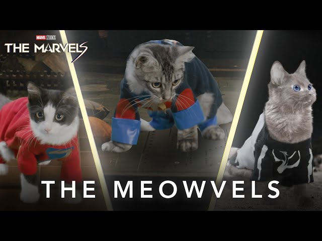 The Meowvels