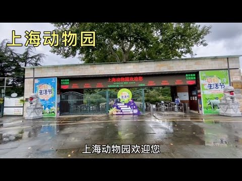上海动物园，中国第二大城市动物园，带大家到里面看看
