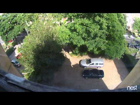 Gotch massacring the hedge