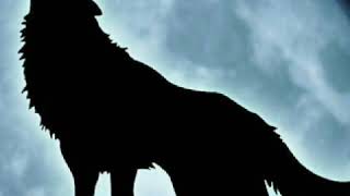 Que tu vida es    adolfo angel  Los temerarios