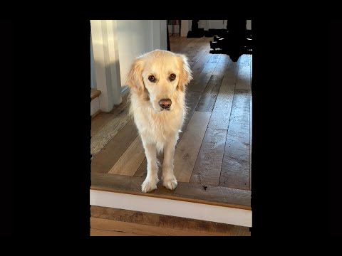 Here I Am - Mary Chapin Carpenter