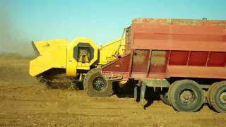preview picture of video 'Rex Baum Farms Potato Harvest 09 2'