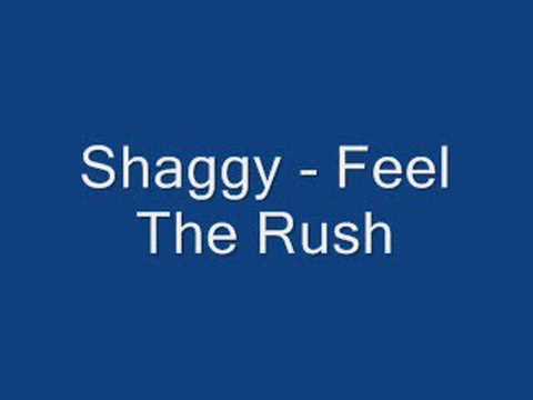Shaggy - Feel The Rush