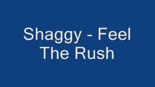 Shaggy - Feel The Rush