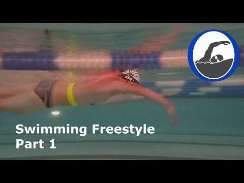 Freestyle Technique Analysis - click to play video