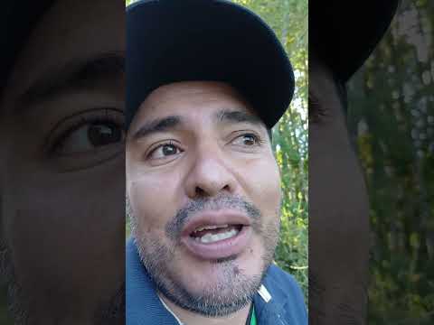 17 enero 2026 granja el canal albania caqueta