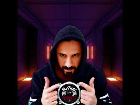 Ayzha Nyree - No Guidance (Shatlyk Nuryyev Remix)