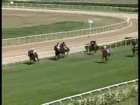 Galopp 2009 március-április