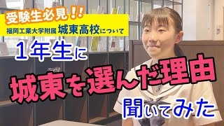 動画のサムネイル