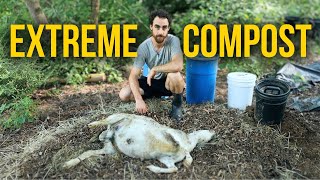 EXTREME Composting | Dead Animals into Living Soil