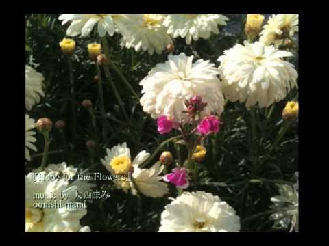 「Hope for the Flowers」大西まみ