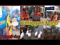 Pratapgarh Farms Jhajjar Haryana Bengoli Vlog Part 2