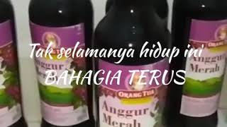 Download lagu Story WA Anggur Merah - dj angklung losss dolll mp3 Download lagu Story WA Anggur Merah - dj angklung losss dolll mp3