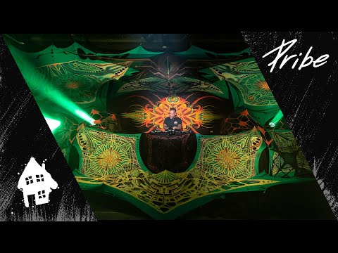 Pribe I Psychedelic Journey Livesets IV pres. by Houserasten